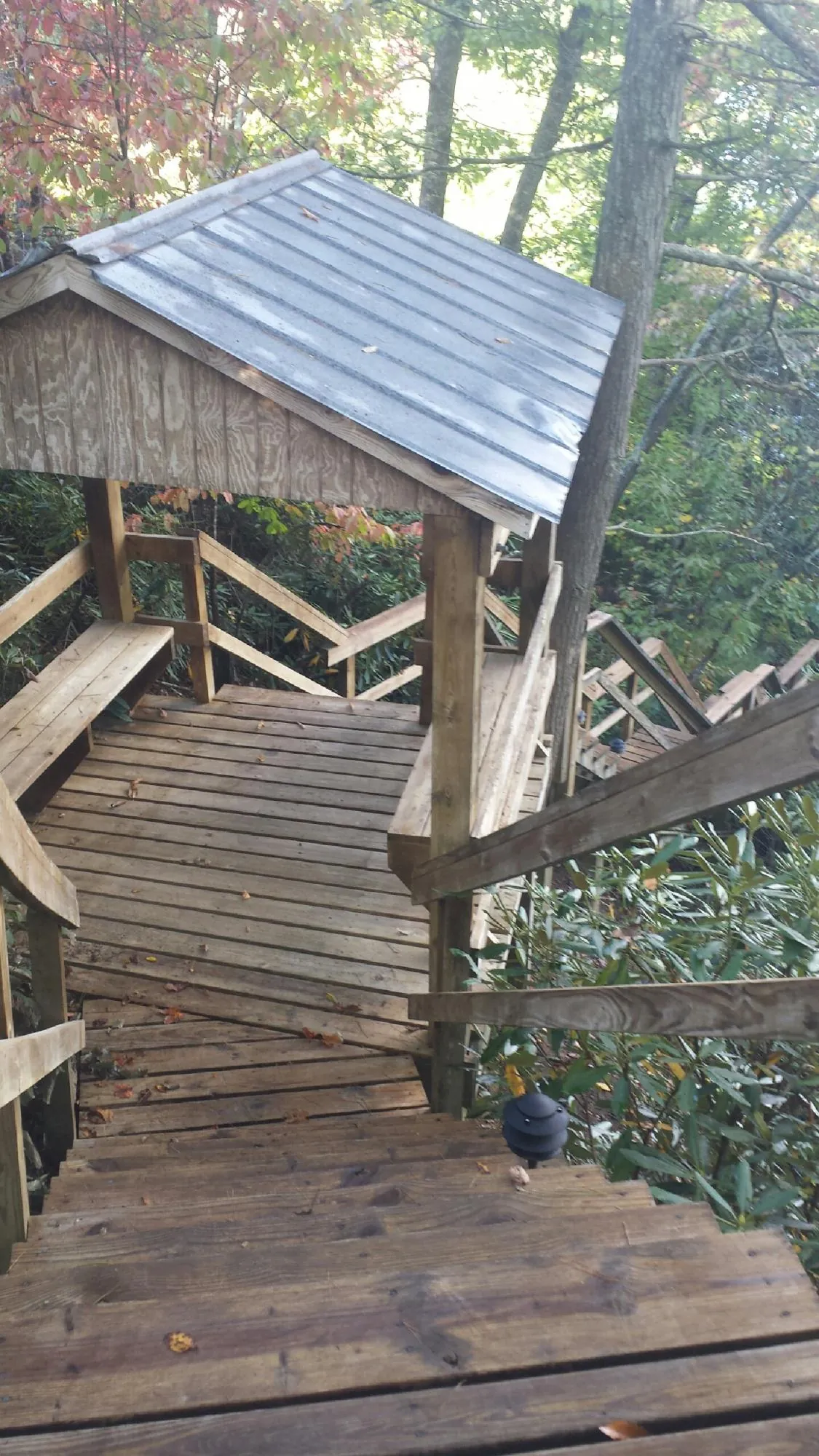 Metal roofed shelter over wooden steps on a wooded walkway — Skylight Repair & Installation work by our crew in Gold Bar