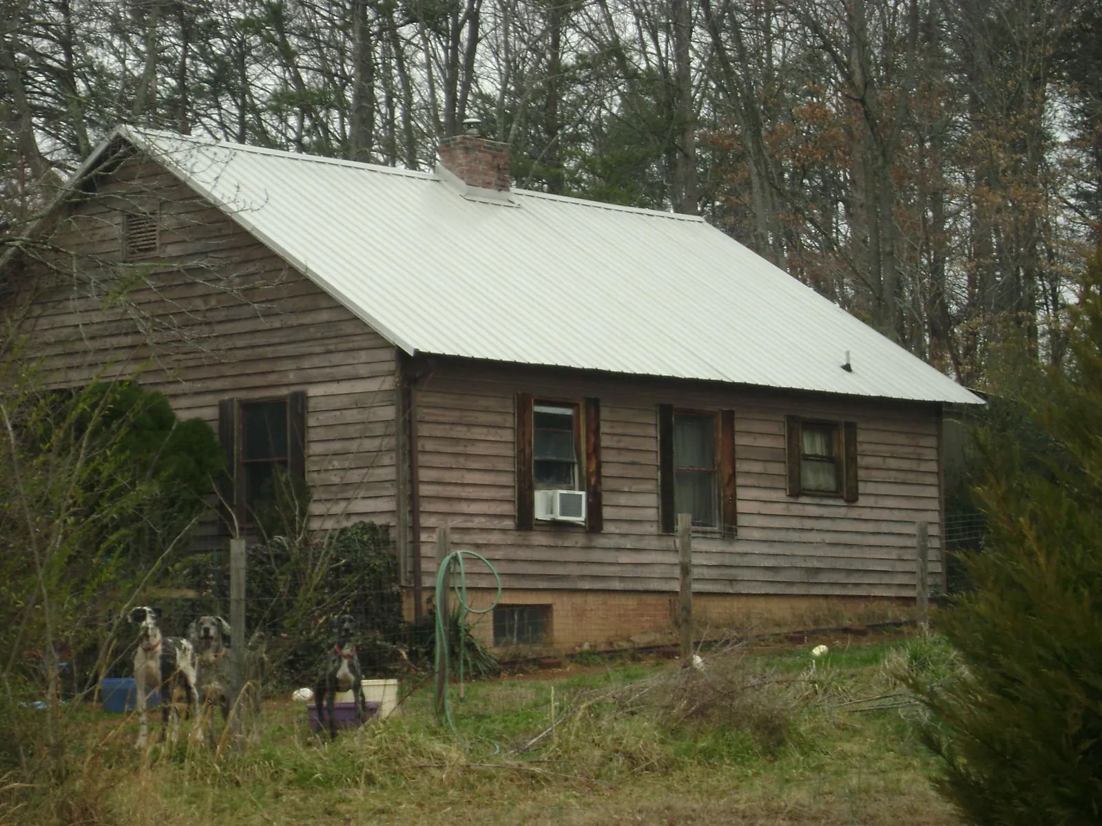 White metal roof on an old wood sided farmhouse, from a Metal Roof Installation job in Gold Bar